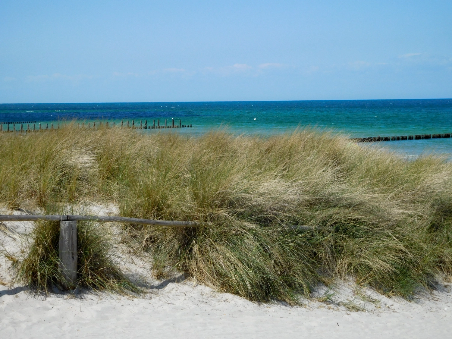 Feld in Strandnähe von von Szillat GbR